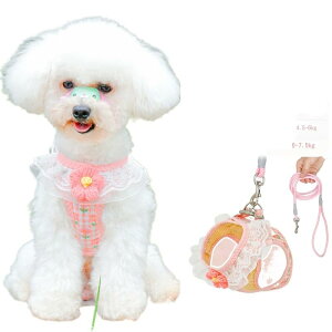 pn[lX [h ybg [X iq [vZbg yʒʋCK EȒP߉\ _uK[h q qL sN/ ()