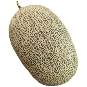 t[c ʂ ʕ 3D D A 傫 { Hו  킢   QNbV _炩 Dw FTCY q̂߂̃Mtg  YQ 