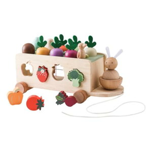 `킹 ؐpY jW mߋ e\b[ ^͂  _jW 􉽔F FF }`Fm ؂̂ Ԃ J wP q aMtg NX}