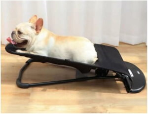 ELptnbNxbh bLO`FA XCO`FA 􂦂oET[ Op