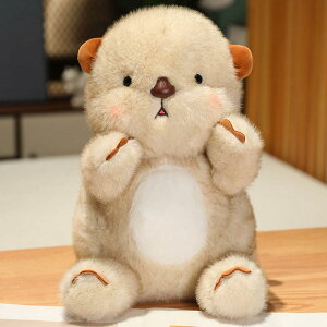 ʂ bR A  ӂӂ 킢 JE\ 傫  \tg  _炩 XgX 40cm Gǂ  Aj}  uE  YQ 􂦂 