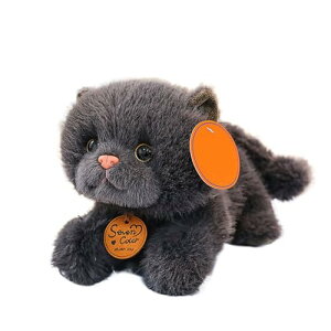 lR ʂ L  ӂӂ 킢 {  A _炩   NbV    c 25cm j  Ǝ Ӊ uE