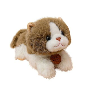 lR ʂ L  ӂӂ 킢 {  A _炩   NbV    c 25cm j  Ǝ Ӊ uE