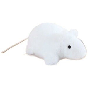 lY~ ʂ { ӂӂ 킢  ʂ NbV   A ʂ \tg  11cm  _炩 mgC a v[g ub