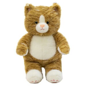 L  傫  A ʂ lR ӂӂ 킢 NbV   j 80cm _炩 a v[g ʂ n uE YQ 蕨 u xb