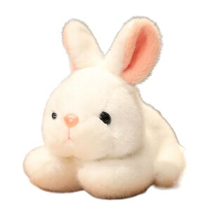 ʂ ETM A ӂӂ 킢     ʂ    ߋ 蕨 Mtg v[g zCg 20cm a \tg   u