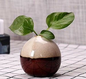 ԕr ~jԊ т  Z~bN -t[x[Xԕr+ * ͔| A̐A t[|bg | H|i NGCeBu CeA v[g   Mt