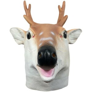 }XN  蕨 p[eB[}XN RXv  ϑ  Ԃ NX}X nEB Ղ  w giJC