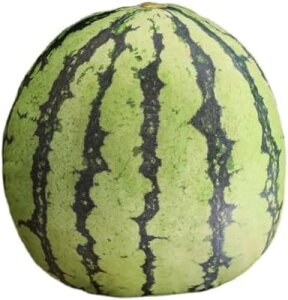  t[c ʂ ʕ 3D D A 傫 { Hו  킢   QNbV _炩 Dw FTCY q̂߂̃Mtg  