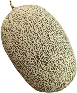  t[c ʂ ʕ 3D D A 傫 { Hו  킢   QNbV _炩 Dw FTCY q̂߂̃Mtg  