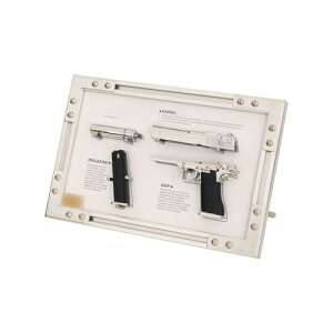 gݗĂƕ\Ȃ̖͌^fXNgbvRNVfBXvCtHgt[ (˂ݐF)