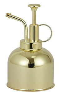 |p傤AXeXA^ApAԂɐ܂~j傤 (ubN)