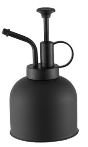 |p傤AXeXA^ApAԂɐ܂~j傤 (ubN)