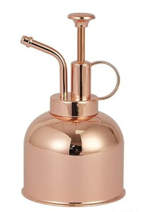 |p傤AXeXA^ApAԂɐ܂~j傤 (ubN)