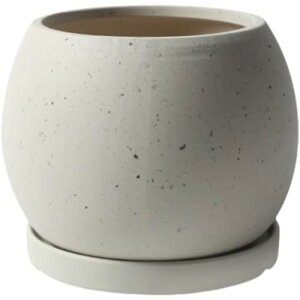 AؔA픫AAAی^A󂯎MtAՁAt[|bgAAAϗtAArtAkCeAÃCeA (gCȂ 14*14*10.5cm,zCg)