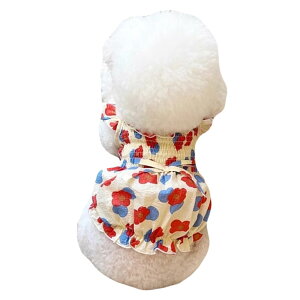  s[X ԕ t XJ[g ^ L Pl  ybgpvZXXJ[g hbOEFA ybg m  t  킢