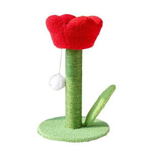 �o��^���[ �L�^���[ �X���� �����u�� ���萫 �L�p�܂Ƃ� �T�C�U���� �܌��� ���R �Ԍ^ ���� �l�C ������� ���킢�� ������ �]�|�h�~ �ȃX�y�[�X (���[�Y�s���N)