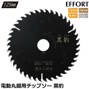 EFFORT ^ dCۋp`bv\[ Oa125mm a20mm 42 n1.6mm ssb`n p ʖ؍ W ύ dCۃmRp EKH-D125 GtH[g