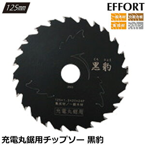 EFFORT ^ [dۋp`bv\[ Oa125mm a20mm 24 n1.3mm ssb`n p ʖ؍ W ύ [dۃmRp EKH-J125 GtH[g