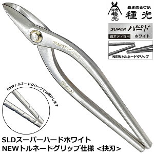  SLD X[p[n[h zCg Pn NEWgl[hObvdl  ō  v GOn O { NT8202 NT8199 c{^