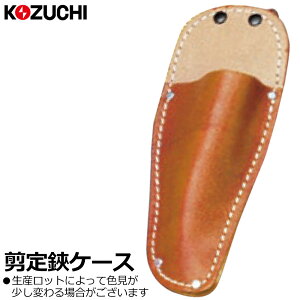 Rd` \ P[X ST-01 KOZUCHI