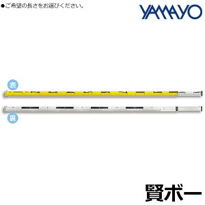 } {[ 2m/3m (A~X^bt) AKB200 AKB300 YAMAYO