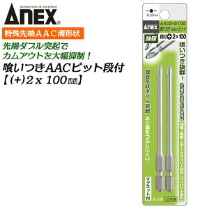 ANEX 򂢂rbg it 2{g +2X100mm }Olbgt JAEgh~ _uˋN lWaׂɂ 򂢂Q  i dhCo[ CpNg vXrbg +2 u 6.35mm AACD