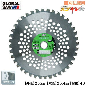 gL @p`bv\[ XSMR Oa255mm 40 20cc~35ccSrCʑΉ R^`bv d`bv @ }L^ nCK[Y z_ HiKOKI ܂т Hi O[o\[ GSR-255-40