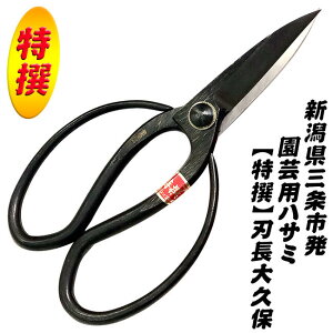 VOs  nv 200mm i{  ~  K[fjO | n ؂ ^Cv Y vۃoT~ On^Cv ݂܂ H쏊