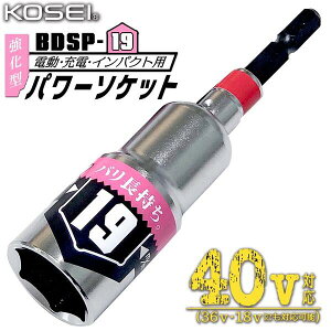 KOSEI 40VΉ ^p[\Pbg 19mm y Zp^Cv  \Pbgrbg x| NKD-1 VTCY 3|CgbN ꈳ 18VΉ 36VΉ v  H dH z { BDSP-19 