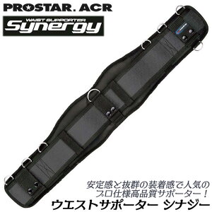 PROSTER ACR ViW[ EGXgT|[^[ Synergy T|[gxg ɑ΍ Ɋɘa DJt h~ bVpl BSW-3300 vX^[