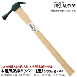 {쏊 {Epgn}[  450mm a29 ؕ ~t ~ n}[ ߃wbh  g ^g v { O 