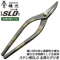 楽天市場】種光 新立切の通販