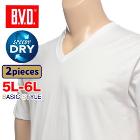 肌着 ビーブイディー 半袖 2枚セット 5L 6L 大きいサイズ メンズ Vネック 吸水速乾 ドライ ホワイト 白無地 B.V.D. アンダーシャツ tシャツ インナー 大きいサイズメンズ肌着のサカゼン