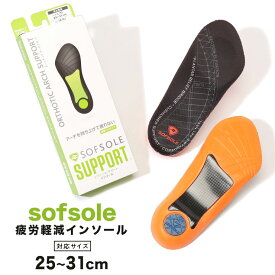 楽天市場 大きいサイズ メンズ インソール 中敷き 靴ケア用品 アクセサリー 靴の通販