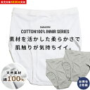 ブリーフパンツ 2枚組 大きいサイズ メンズ 綿100％ 無地 前開き アンダーウェア 通年肌着 ブリーフパンツ ホワイト グレー XL LLサイズ 3L 4L 5L 6L 7L 8L B＆T CLUB INALL