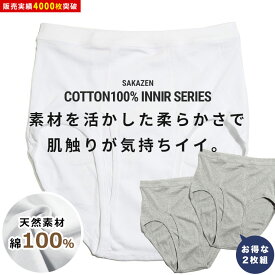ブリーフパンツ 2枚組 大きいサイズ メンズ 綿100％ 無地 前開き アンダーウェア 通年肌着 ブリーフパンツ ホワイト グレー XL LLサイズ 3L 4L 5L 6L 7L 8L B＆T CLUB INALL