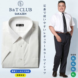 エントリーでさらにポイント+4倍 ワイシャツ カッターシャツ 半袖 大きいサイズ メンズ 春夏対応 クールビズ対応 レギュラーカラー 綿高率 形態安定 白無地定番 3L 4L 5L 6L LLサイズ B＆T CLUB 大きいサイズメンズのサカゼン