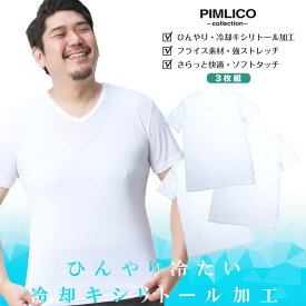 エントリーでさらにポイント+4倍 WEB限定 半袖 Tシャツ 3枚セット 大きいサイズ メンズ 接触冷感 キシリトール ストレッチ 吸水速乾 Vネック アンダーシャツ インナー ホワイト 3L 4L 5L 6L 7L 8L PIMLICO ピムリコ 涼感肌着 クールビズ 節電 涼しい 暑さ対策