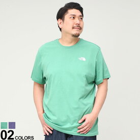 ノースフェイス 半袖 Tシャツ 大きいサイズ メンズ バックBOXロゴ クルーネック Redbox Tee-Eu コットン ディープグラスグリーン ルナスレート 1XL 2XL THE NORTH FACE