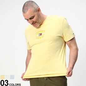 半袖 Tシャツ 大きいサイズ メンズ ロゴプリント クルーネック CLSC ARCHED LOGO TEE コットン 春 夏 イエロー グリーン サックス 1XL 2XL TOMMY JEANS トミージーンズ