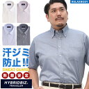 半袖 ワイシャツ 大きいサイズ メンズ ビジネス 汗染み防止 超形態安定 ノーアイロン ノンアイロン 綿100％ ボタンダウン RELAXBODY Yシャツ 春 夏 クールビズ ホワイト ピンク ブルー ダルブルー 3L 4L 5L 6L 7L 8L HYBRIDBIZ ハイブリッドビズ
