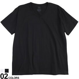 Vネック 半袖 アンダーTシャツ 3L 4L Hanes (ヘインズ) 2枚セット ホワイト ブラック 抗菌防臭 タグレス コットン 大きいサイズ メンズ 肌着 下着 アンダーシャツ インナー Tシャツ