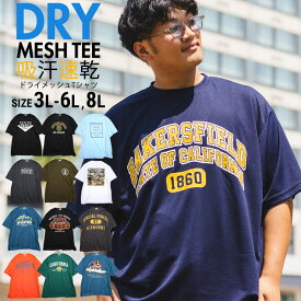 エントリーでさらにポイント+4倍 半袖 Tシャツ 大きいサイズ ビッグT Big メンズ DRYメッシュ ドライメッシュ 吸水速乾 涼しい 夏 フェス キャンプ アウトドア アメカジ プリント クルーネック PIMLICO ピムリコ sclt 人気 新作