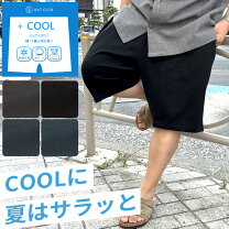 楽天市場】ハーフパンツ 5l メンズの通販