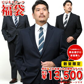 【ポイント5倍】【クーポン利用で1000円引き】スーツ 福袋 メンズ 大きいサイズ ビジネス 紳士 大特価 ビジネススーツ TAB体 KB体 2KE体 3L 4L 5L 6L 7L 8L 大きいサイズビジネススーツのサカゼン