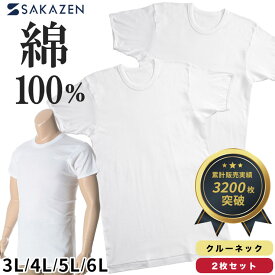 肌着 半袖 2枚セット 大きいサイズ メンズ クルーネック 3L 4L 5L 6L LLサイズ XL 綿100％ フライス編み ホワイト 白無地 SAKAZEN アンダーシャツ tシャツ インナー 大きいサイズメンズ肌着のサカゼン INALL