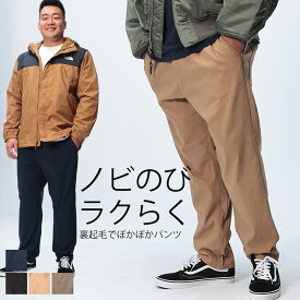 【クーポン利用で500円引き】【ベージュ 3Lのみ】イージーパンツ 3L-5L ノビのび 暖か 裏起毛 ストレッチ ウエストゴム コード ボトムス 無地 ロングパンツ チノパン Natural Story ナチュラルストーリー メンズ 大きいサイズ bkpnt24aw