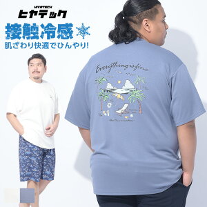 T�V���c ���� �����Y �傫���T�C�Y �q���e�b�N �⊴ �|���` �N���[�l�b�N 3L 4L 5L 6L 7L 8L 9L���� SEAGULL �g�b�v�X �v�����g �h�J ������ �t �� �z���C�g �_�[�N�u���[ B��T CLUB �T�J�[��