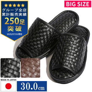 Xbp 傫TCY Y { RۖhL iq OJ ubN uE 30.0cm SAKAZEN TJ[